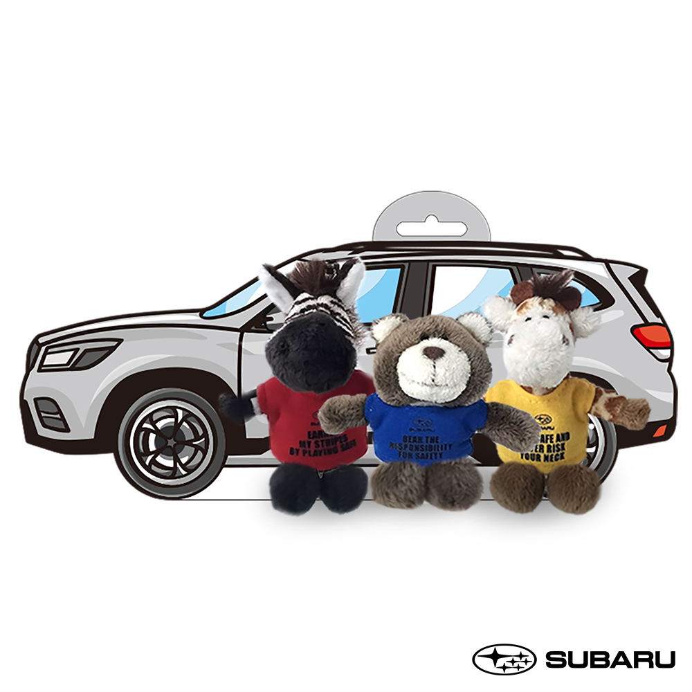 Subaru Safety Ambassador Keychain Set